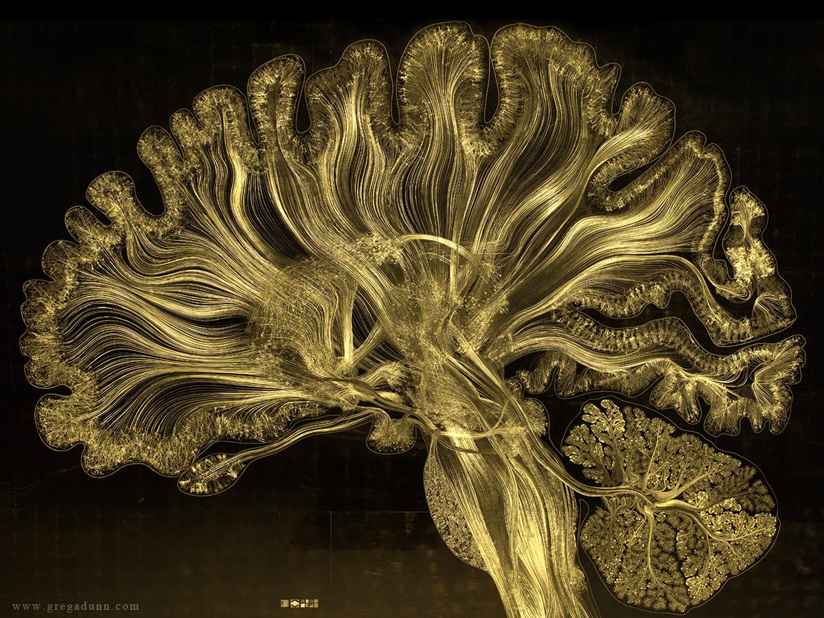 VitalMe — closing the access gap AND clearing the clinical-efficacy floor via Neural Circuit Integration