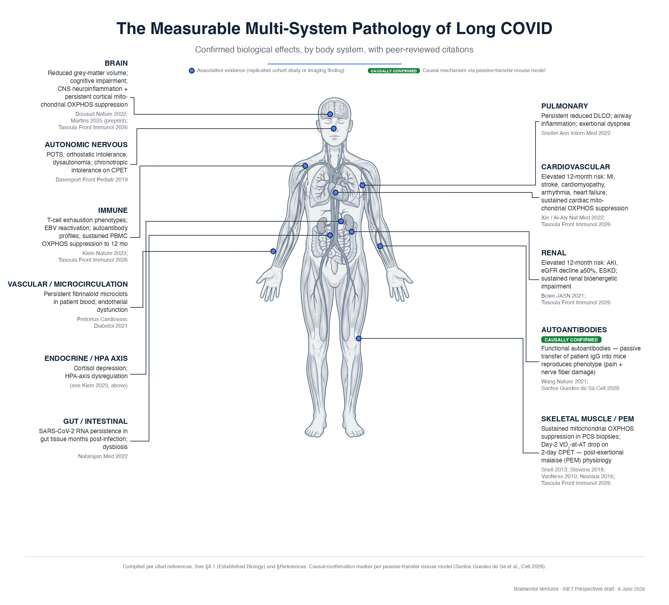 Long COVID Pathology Atlas — 12-system mechanism map across 60+ peer-reviewed studies